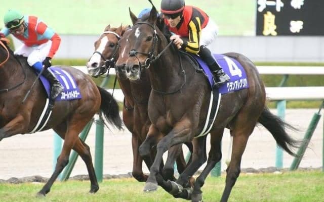 【マイルCS展望】秋のマイル王決定戦、好走の条件とは