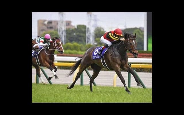 確勝を期すマイルCS。絶対女王グランアレグリアに「らしくないレース」が頭をよぎる不安