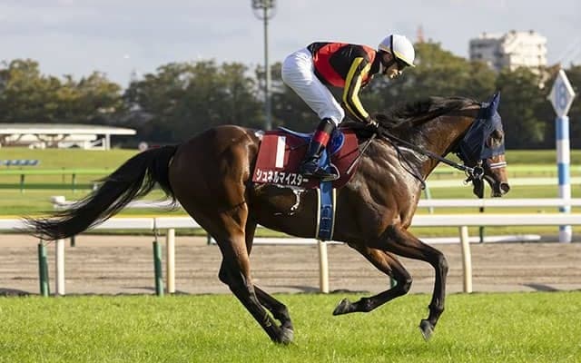 【マイルCS 注目馬】未知の魅力を秘めた若駒がマイル界で世代交代へ