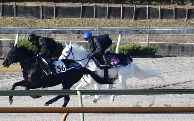 ソダシ、チャンピオンズC2週前追い切り速報/栗東トレセンニュース