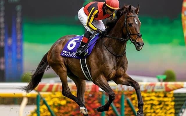 「実績面は心配無用」上位人気馬が堅実なマイルCSでAIが選んだのはあの馬！