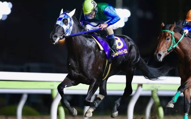 【大井・ハイセイコー記念結果】ノブレスノアが逃げ切り重賞初V、「トーセン」島川氏所有馬の上位独占