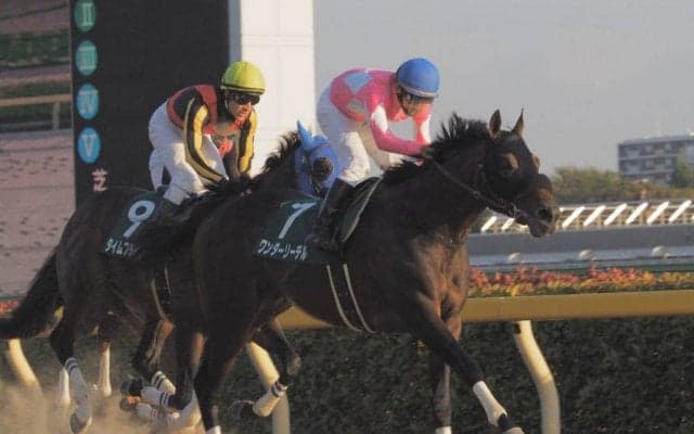 ワンダーリーデルが競走馬登録抹消