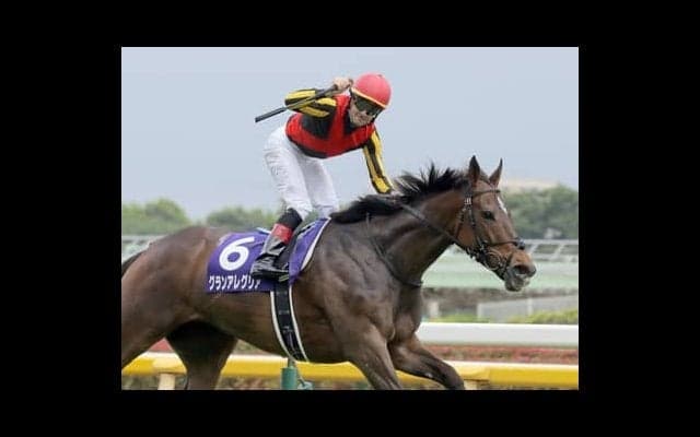 マイルCS連覇でグランアレグリアは有終の美を飾るか。データで見るラストランの展望ともう１頭の注目馬