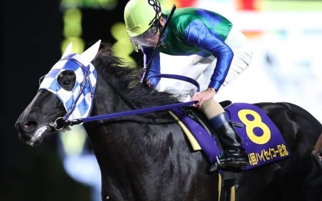 【大井・ハイセイコー記念】逃げ切って重賞初Vノブレスノアの森泰斗騎手「体も1戦ごとにしっかり。大きな期待をかけていきたい」