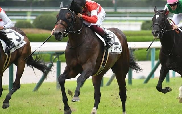 【東京スポーツ杯2歳S出走馬・騎手確定】イクイノックス＆ルメール騎手、レッドベルアーム＆福永祐一騎手など12頭