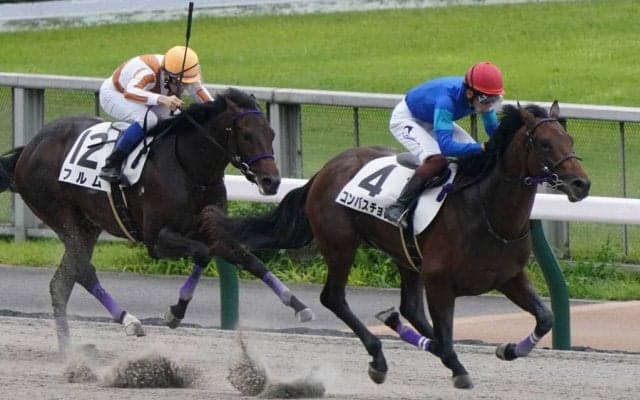 【兵庫ジュニアグランプリ】JRA出走予定馬