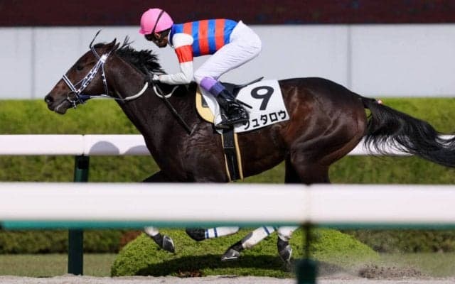 【武豊日記】いまから楽しみしかありません