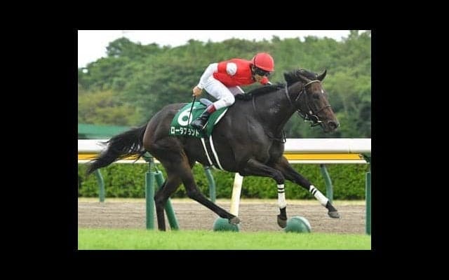 マイルCSも阪神の荒れ馬場で大波乱か!?　 穴党記者が「怖い存在」と指摘する伏兵２頭