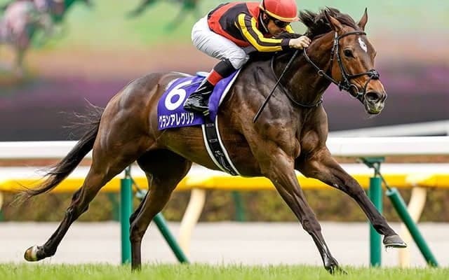 三強の3頭目が思い出せない/島田明宏