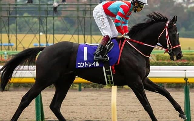 【JRA】コントレイル引退式をジャパンカップ終了後に開催、当日の全レース終了後