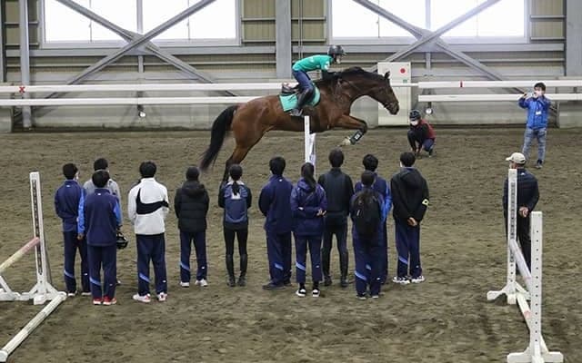 種付けから売却まで…日本で唯一サラブレッド生産を授業に導入している高校