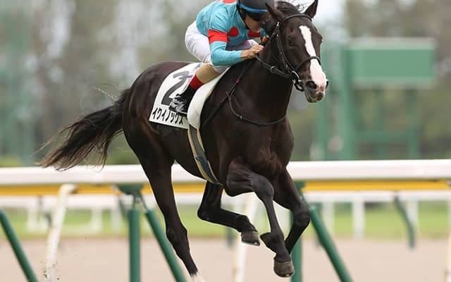 【東京スポーツ杯2歳S予想】新馬圧勝も過信禁物!? データが示すホープフルSへの道/JRAレース展望