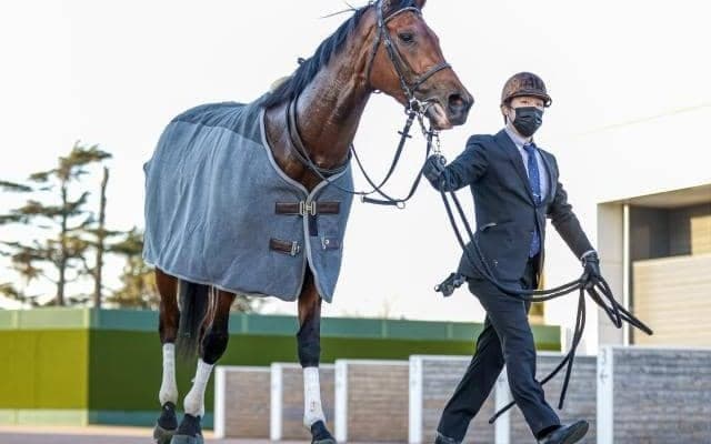 【マイルCS】ダノンザキッド安田隆師「2歳チャンピオンとして恥ずかしくないレースを」/ねぇさんのトレセン密着