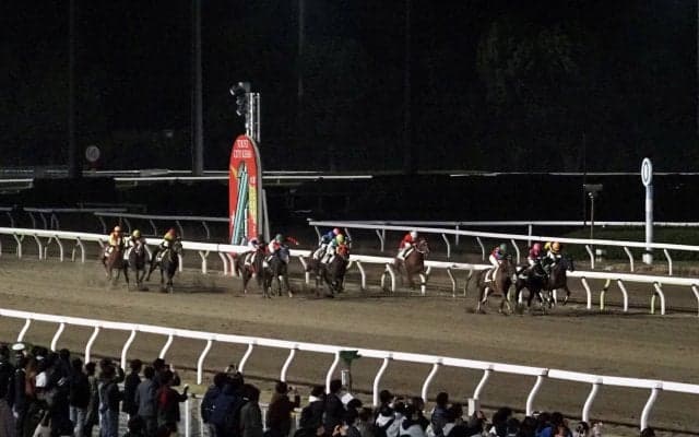 世界唯一の二刀流競馬場が誕生！大井で1日に左右両周りのレースを実施