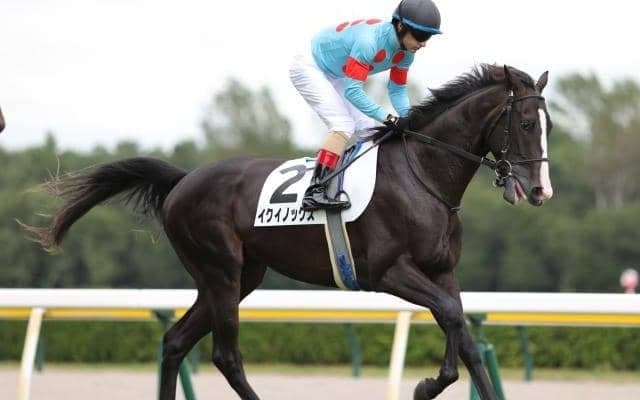 【本日の注目ポイント】GII昇格の東京スポーツ杯2歳S、ルメール騎手は1500勝まであと「2」