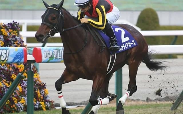 【マイルCS予想】気候と距離適性がカギ!? 気象予報士が語る晩秋の激走季節馬とは