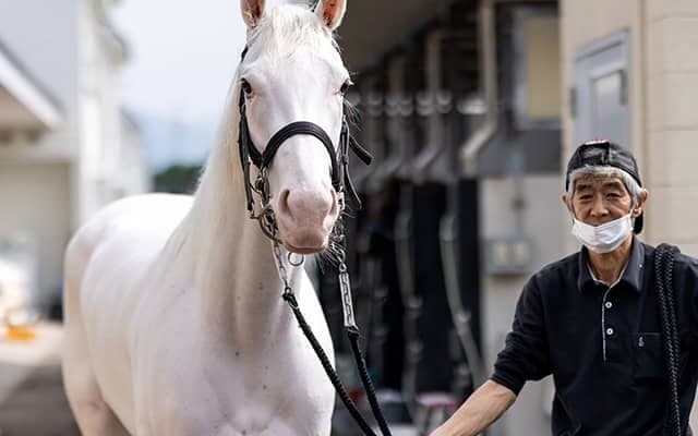 【チャンピオンズC想定】ソダシ、チュウワウィザード、カジノフォンテンなどGI級覇者多数の豪華メンバー