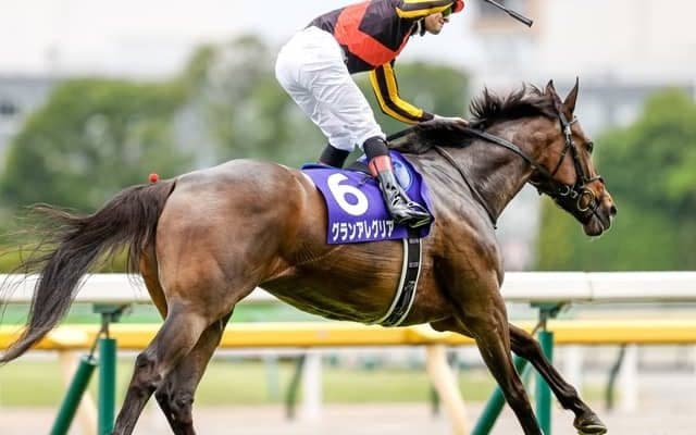 【マイルCS前日オッズ】ラストランのグランアレグリアが2.2倍で1番人気