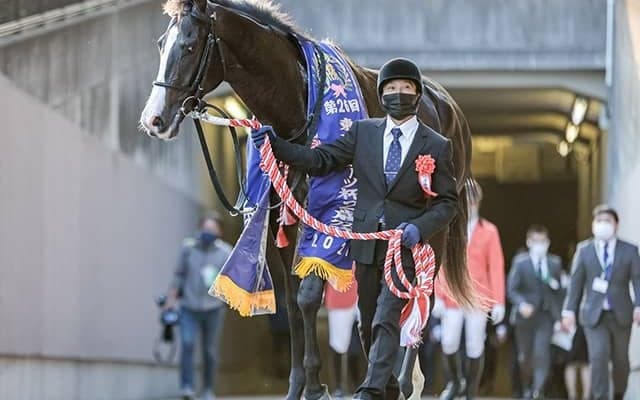 「母父キングヘイロー」重賞で驚異の好成績　イクイノックスが東スポ杯2歳S制覇