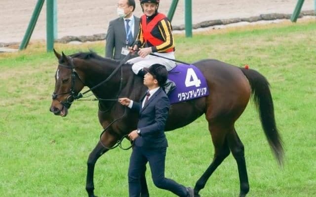 【本日の注目ポイント】マイルCSでグランアレグリアの有終の美なるか