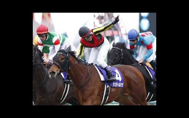 スタッフが胸躍らせる話題の良血馬。三冠牝馬ジェンティルドンナの子、マリーナドンナ
