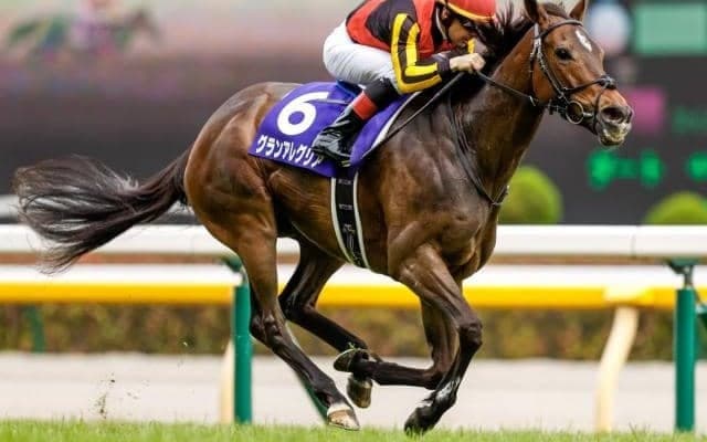 【マイルCS予想】マイルCS・過去10年データから探れ！ 人気薄台頭の年には条件が必要になってくる？