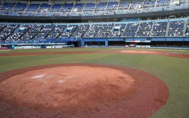 ロッテ戦始球式の投球権が当たる　公式オンラインモールで“感謝祭キャンペーン”開始