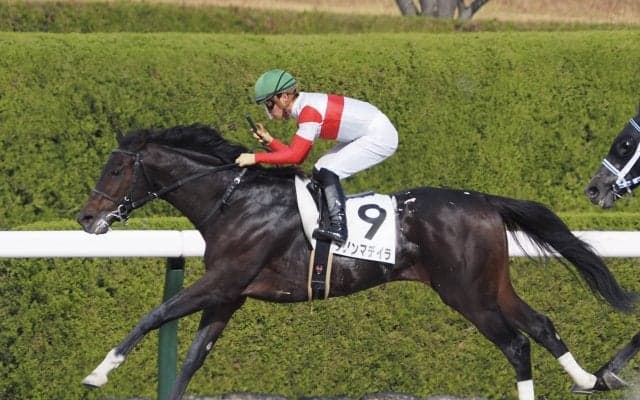 【阪神6R】ダノンマデイラVで川田騎手4連勝