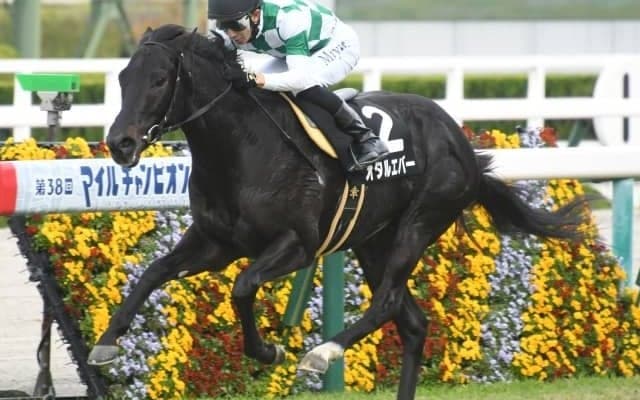 【秋明菊賞結果】リオンディーズ産駒オタルエバーが人気に応えて逃げ切り2勝目