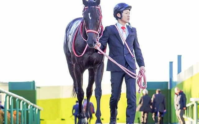 【ジャパンC】コントレイル引退式をJRAがYouTubeでライブ配信