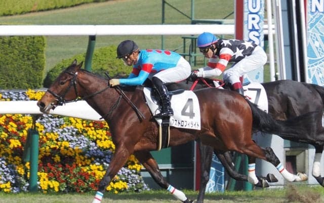 【新馬/阪神4R】ディープインパクト産駒 アストロフィライトがデビューV