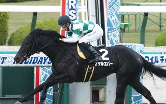 【秋明菊賞】オタルエバーが人気に応える