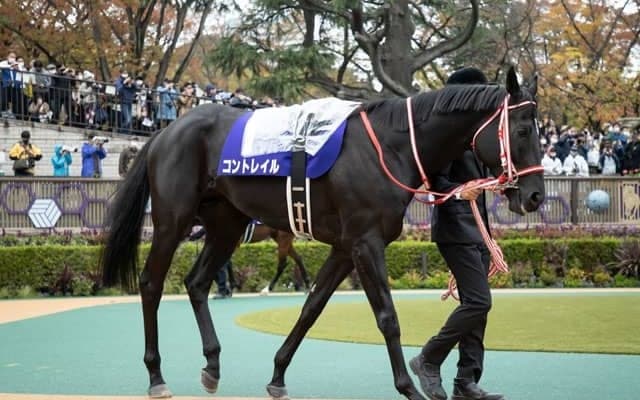 コントレイル有終Vなるか GIジャパンC/今週の競馬界の見どころ