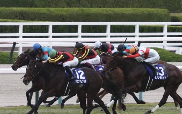 【マイルCS】横山武「勝ち馬が強かったです」レース後ジョッキーコメント