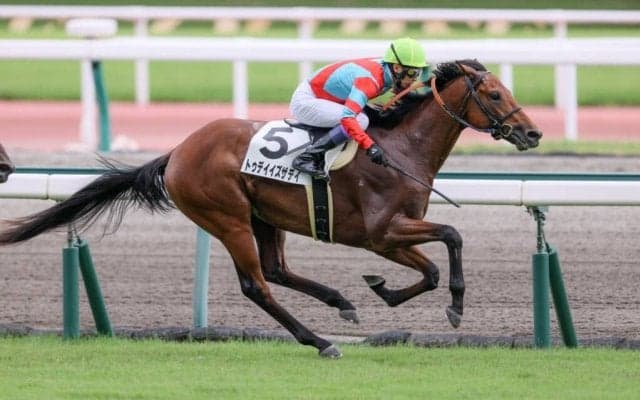 【京都2歳S登録馬】トゥデイイズザデイなど11頭