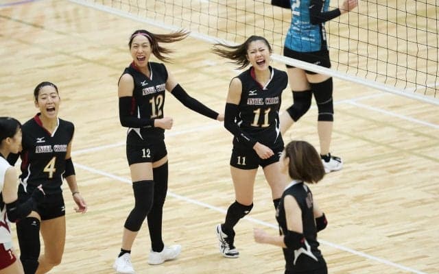 Vリーグの試合結果一覧（V1男女、V2男女・11月21日）