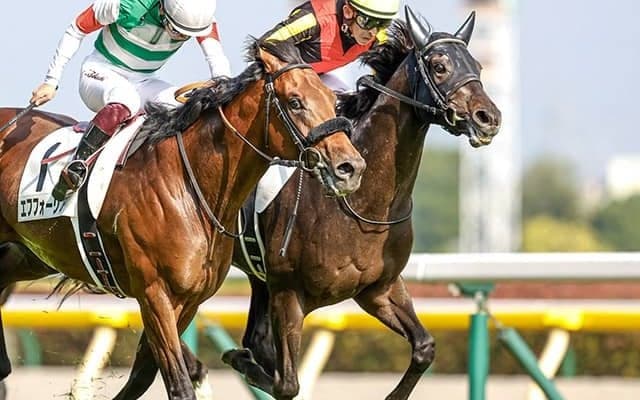 【ジャパンC予想】AI本命「◎」はコントレイルじゃない!? ダービー馬が「4世代」集う一戦に人工知能が導き出した答えは…