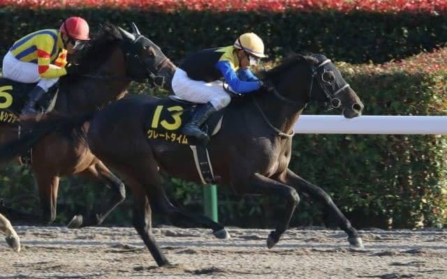 【カノープスSハンデ確定】グレートタイムは56.0kg、エブリワンブラックは54.0kg