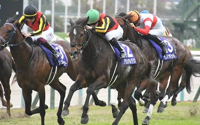 歴史に残る名マイラー！ タピッツフライの血を受け継ぐ唯一の馬・グランアレグリア