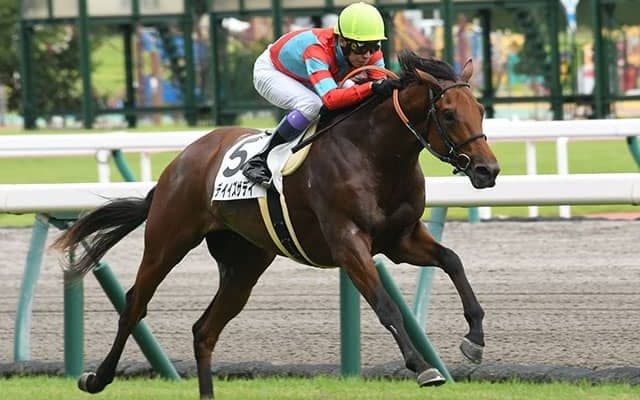 【京都2歳S想定騎手】トゥデイイズザデイは武豊騎手、フィデルは川田将雅騎手