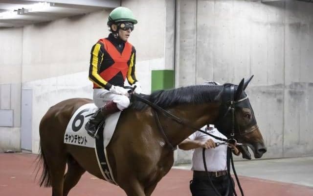 【京都2歳S展望】差す競馬で勝ち上がったあの馬に注目
