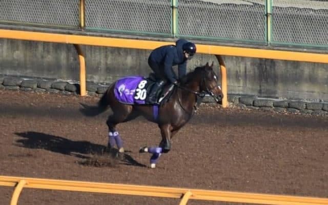 ドウデュースなど、先週の入厩情報/栗東トレセンニュース