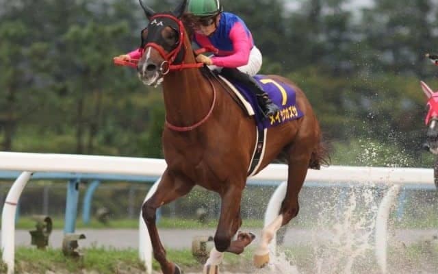 【浦和記念 13時時点オッズ】メイショウカズサが単勝2.0倍の1番人気、ウェスタールンドが3.6倍で続く