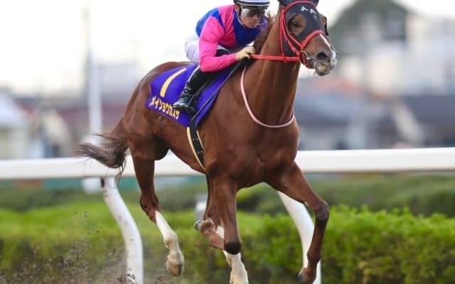 【浦和記念結果】メイショウカズサが逃げ切って重賞連勝！地元のタービランスが2着