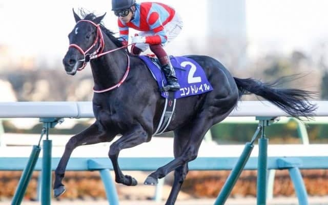 【ジャパンC予想オッズ】ラストランのコントレイルが予想1番人気