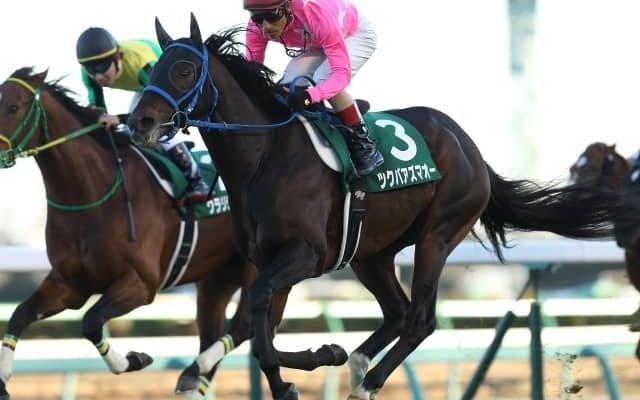 ツクバアズマオーが10歳で死亡　2017年の中山金杯覇者