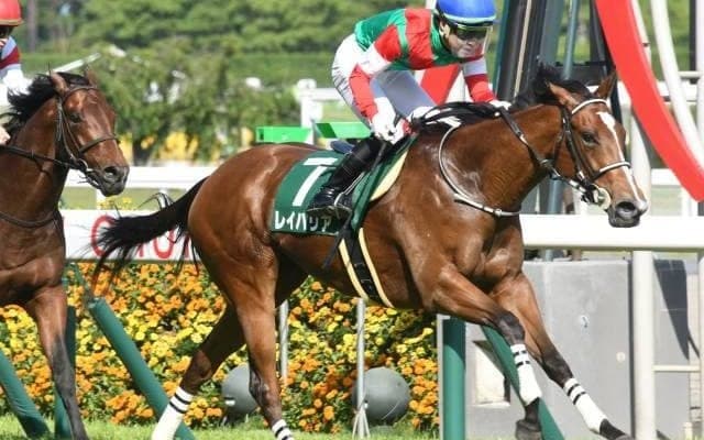 【京阪杯予想オッズ】4連勝中の3歳馬レイハリアが予想1番人気