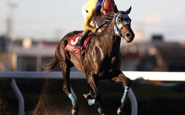 【浦和・まがたま賞結果】本田正重騎手騎乗の1番人気アマネラクーンが快勝