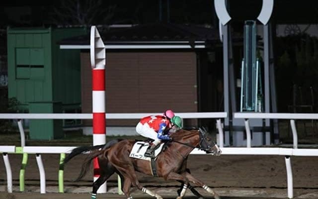 なぜ大井競馬は左回りを実施したのか？ 背景にある国際的なダート競馬の“潮流”